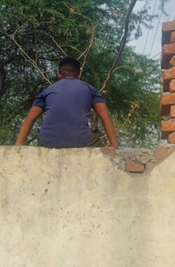 Overlooking the Greenery
