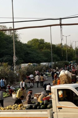 Friday Market-A fun place to be